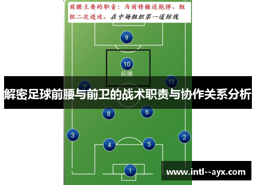 解密足球前腰与前卫的战术职责与协作关系分析