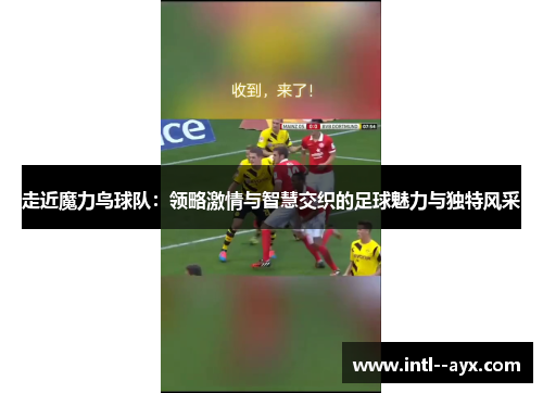 走近魔力鸟球队：领略激情与智慧交织的足球魅力与独特风采