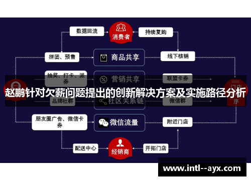 赵鹏针对欠薪问题提出的创新解决方案及实施路径分析