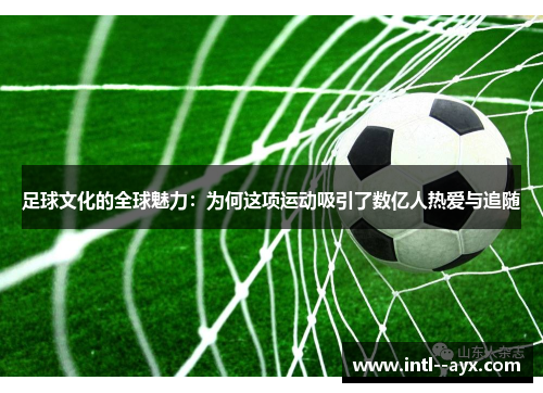 足球文化的全球魅力：为何这项运动吸引了数亿人热爱与追随