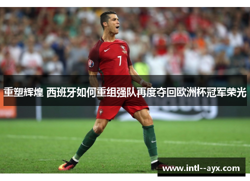 重塑辉煌 西班牙如何重组强队再度夺回欧洲杯冠军荣光